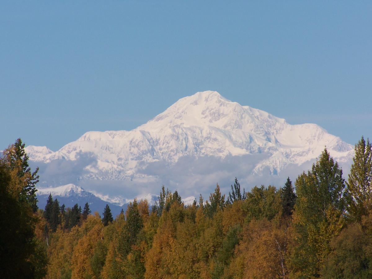 Denali Primrose Bed & Breakfast Healy Exterior foto