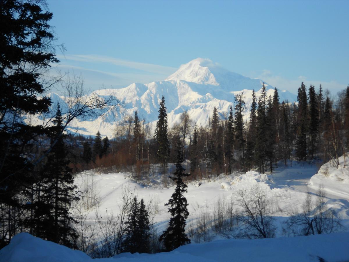 Denali Primrose Bed & Breakfast Healy Exterior foto