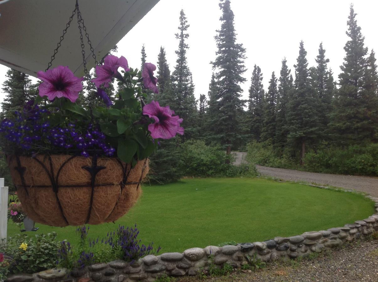 Denali Primrose Bed & Breakfast Healy Exterior foto
