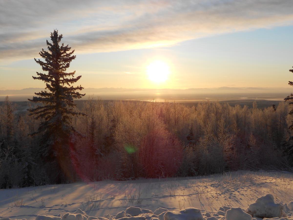 Denali Primrose Bed & Breakfast Healy Exterior foto