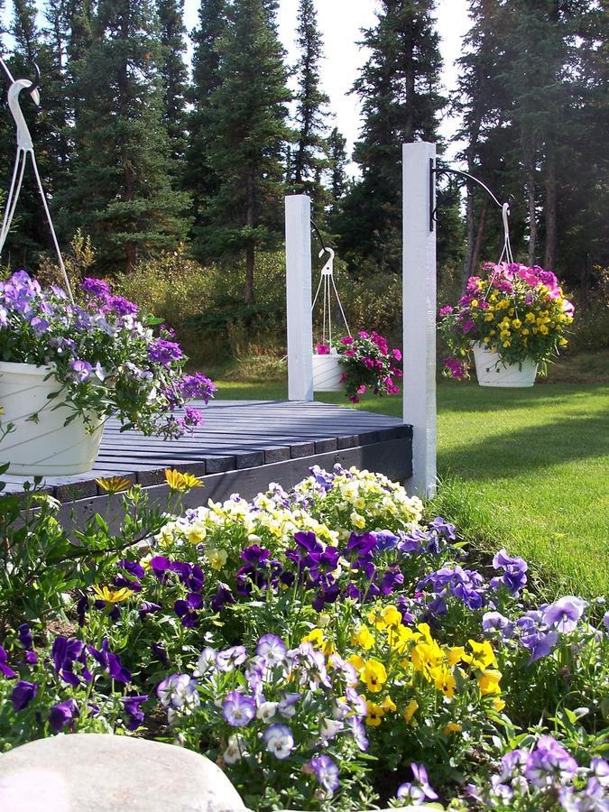 Denali Primrose Bed & Breakfast Healy Exterior foto